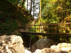 2013-07-20_Regina-F-Rau_Kochel-Rabenkopf (149).JPG